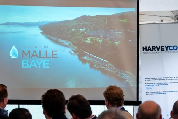 Omnium JD 2023 BR-226